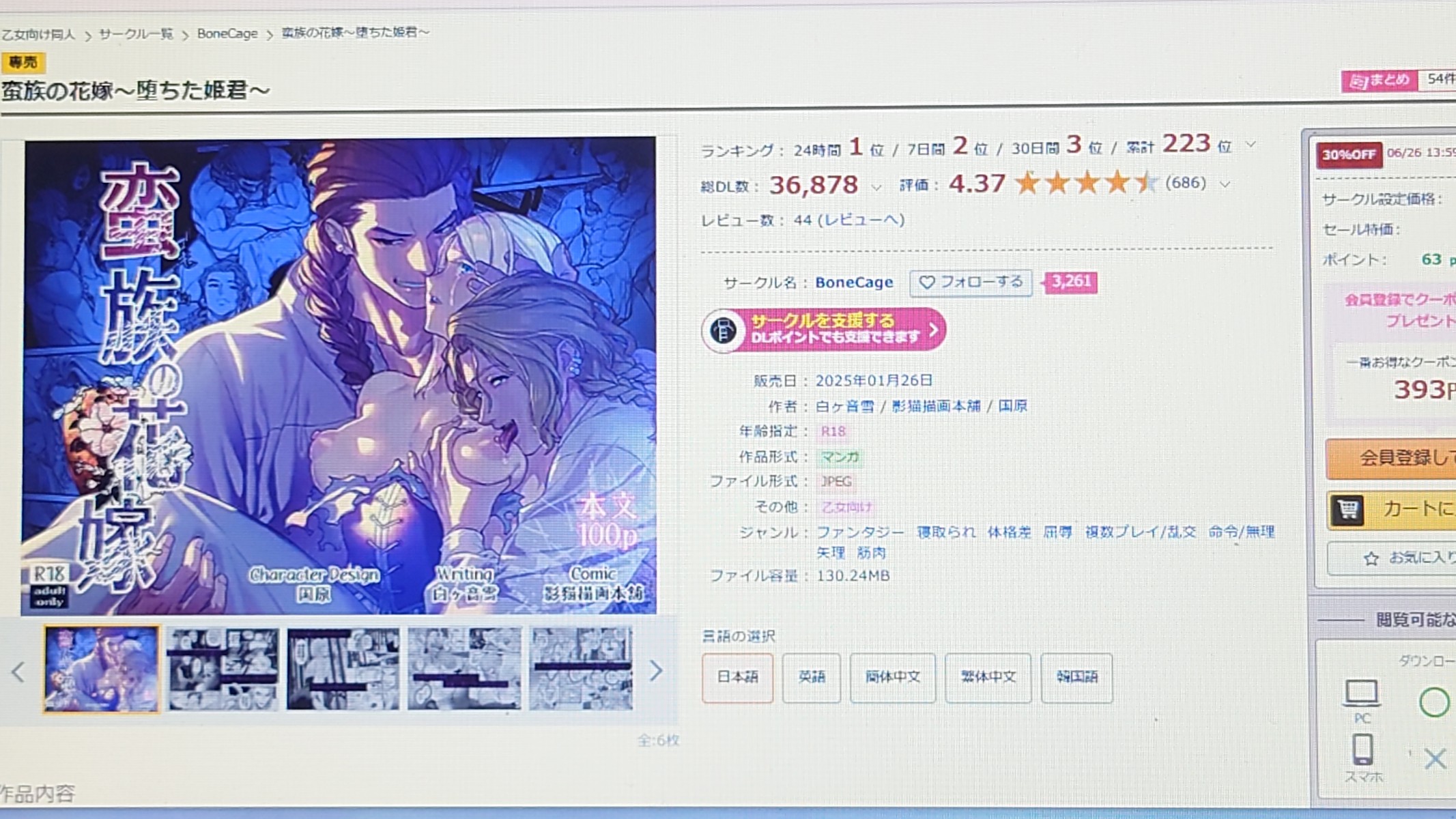 蛮族の花嫁~堕ちた姫君~ 作品紹介